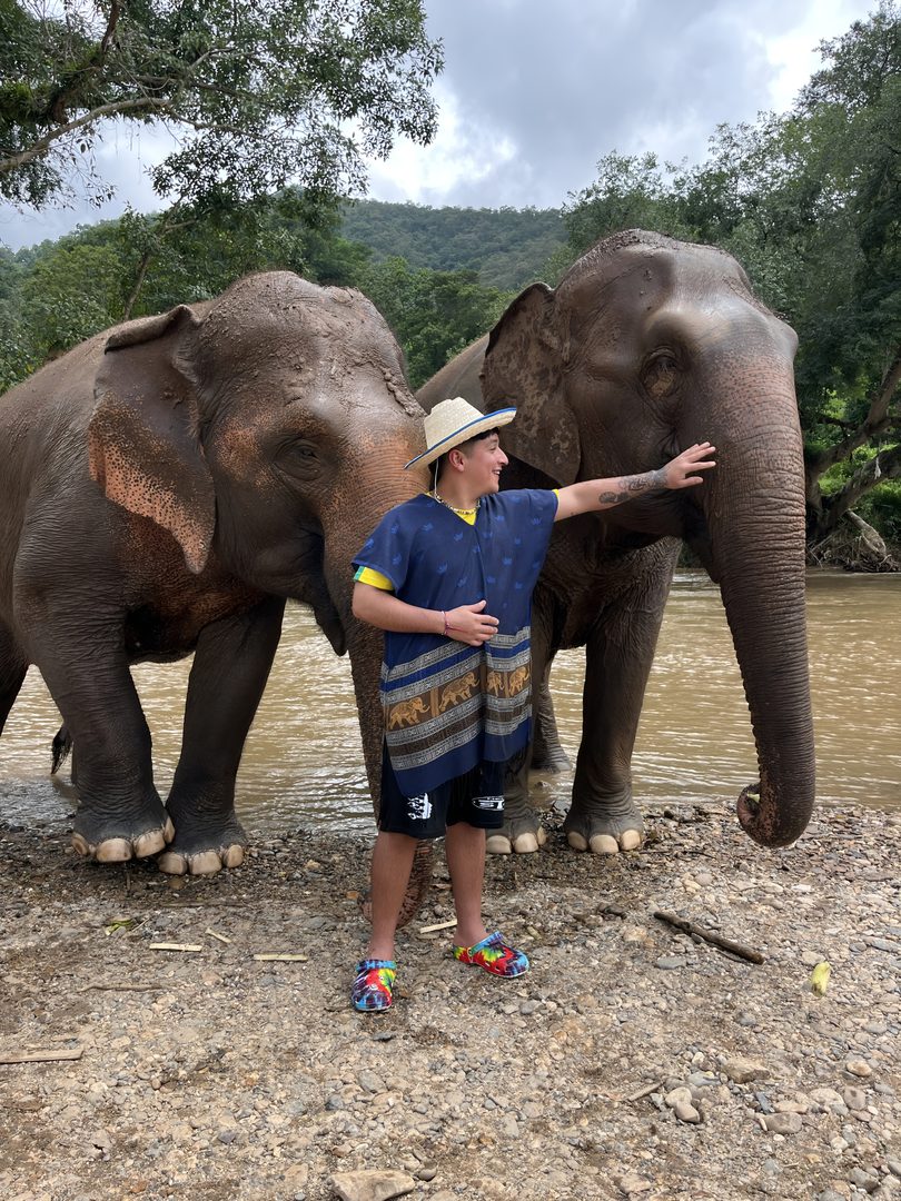 Guest feeding elephants during an ethical Chiang Mai elephant sanctuary tour