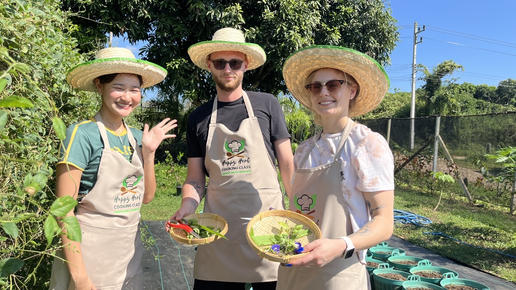 Guests harvesting fresh organic vegetables on the Happy Herb farm in Chiang Mai