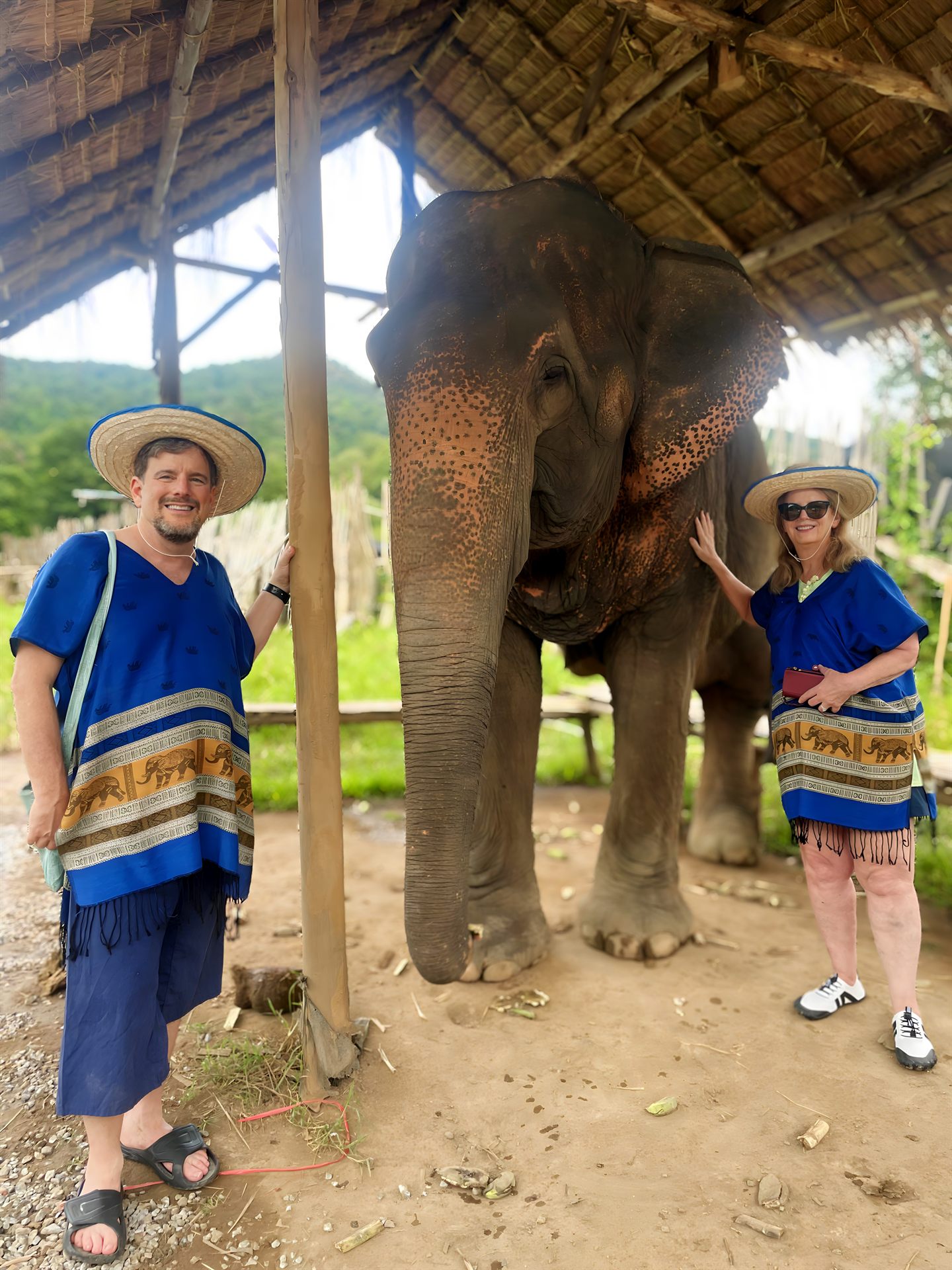 Guests meeting an elephant during an ethical sanctuary experience near Chiang Mai