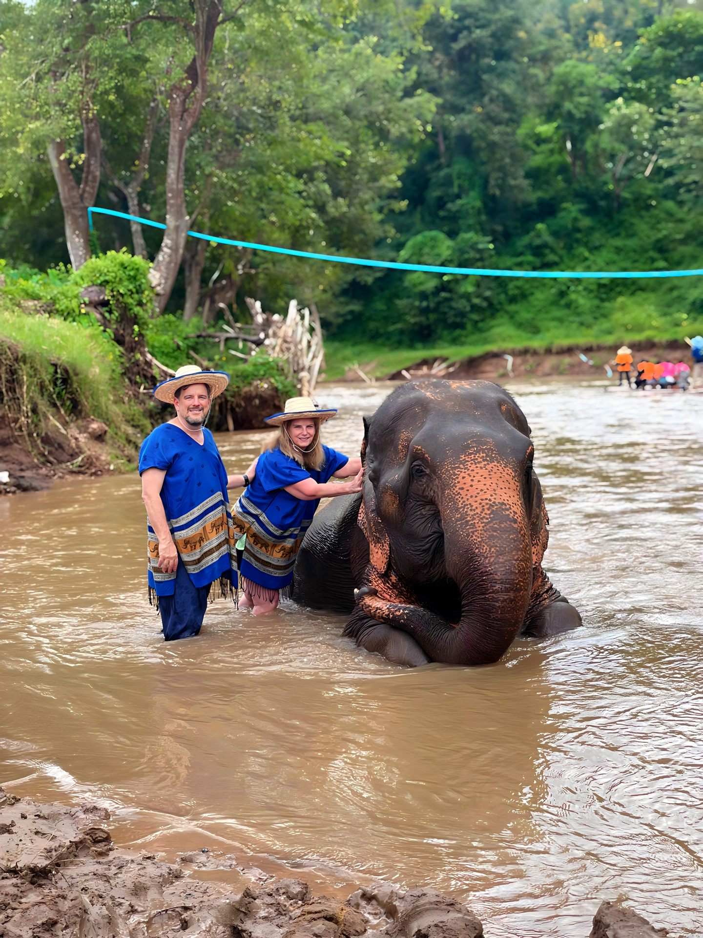 Travelers observing an elephant at a sanctuary setting