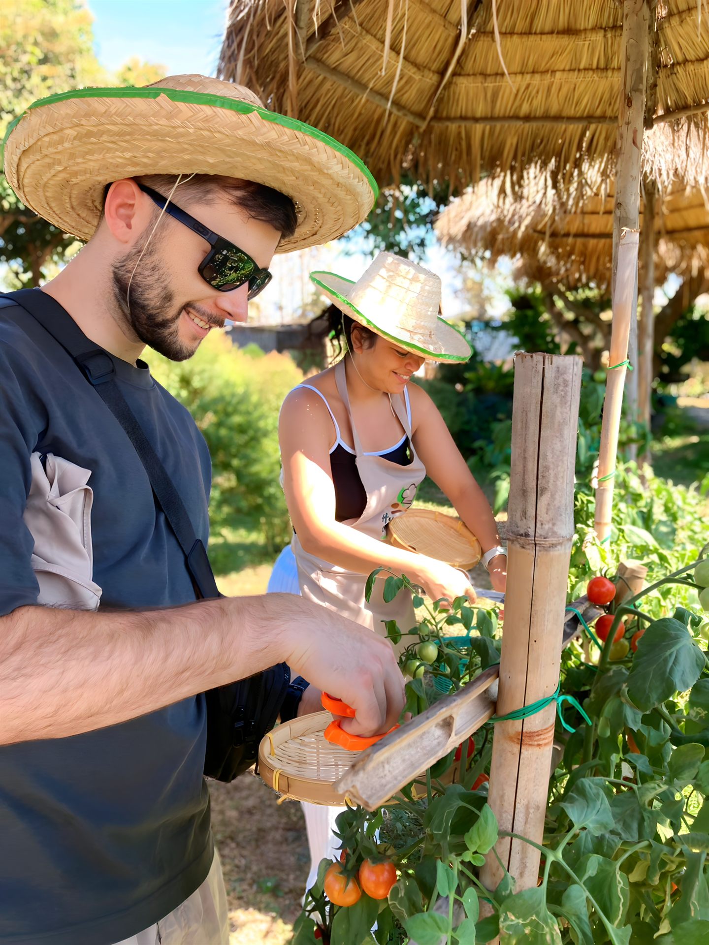 Group harvesting vegetables on the organic farm at Happy Herb Cooking Class in Chiang Mai