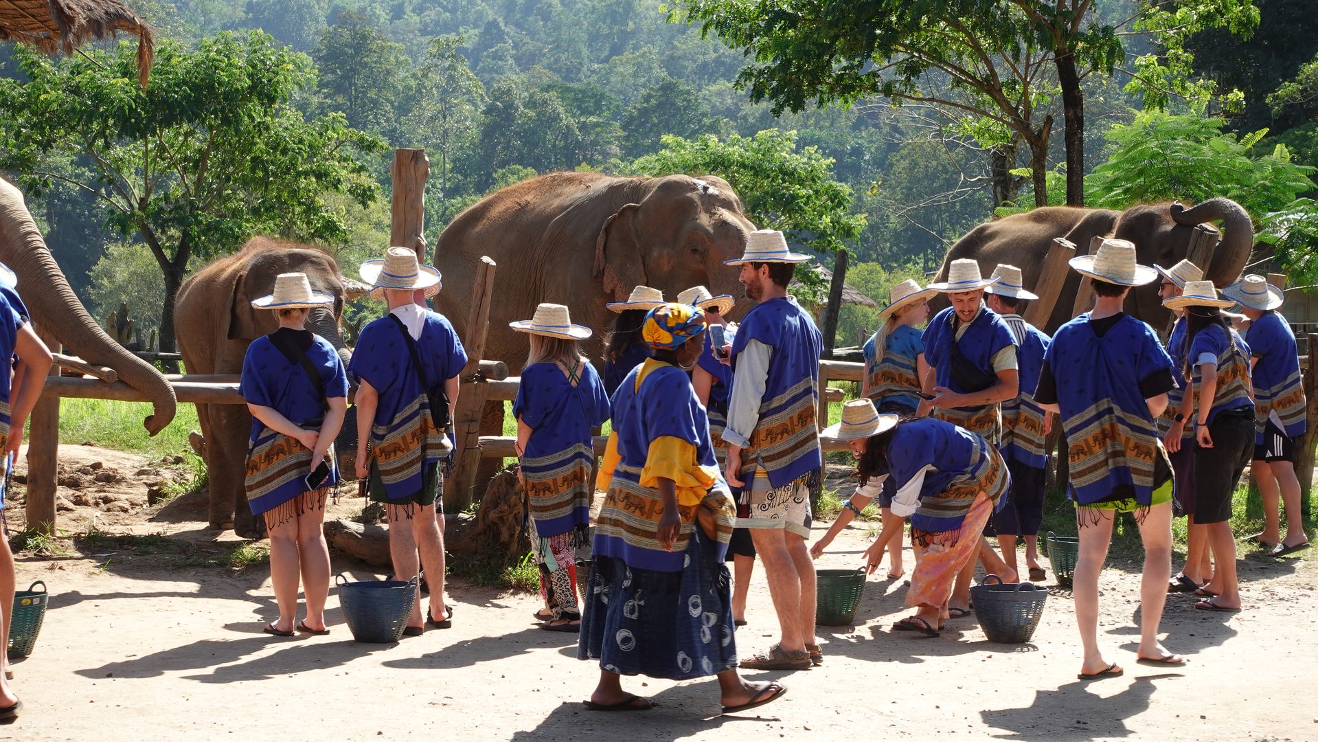 Travelers meeting rescued elephants at an ethical elephant sanctuary near Chiang Mai