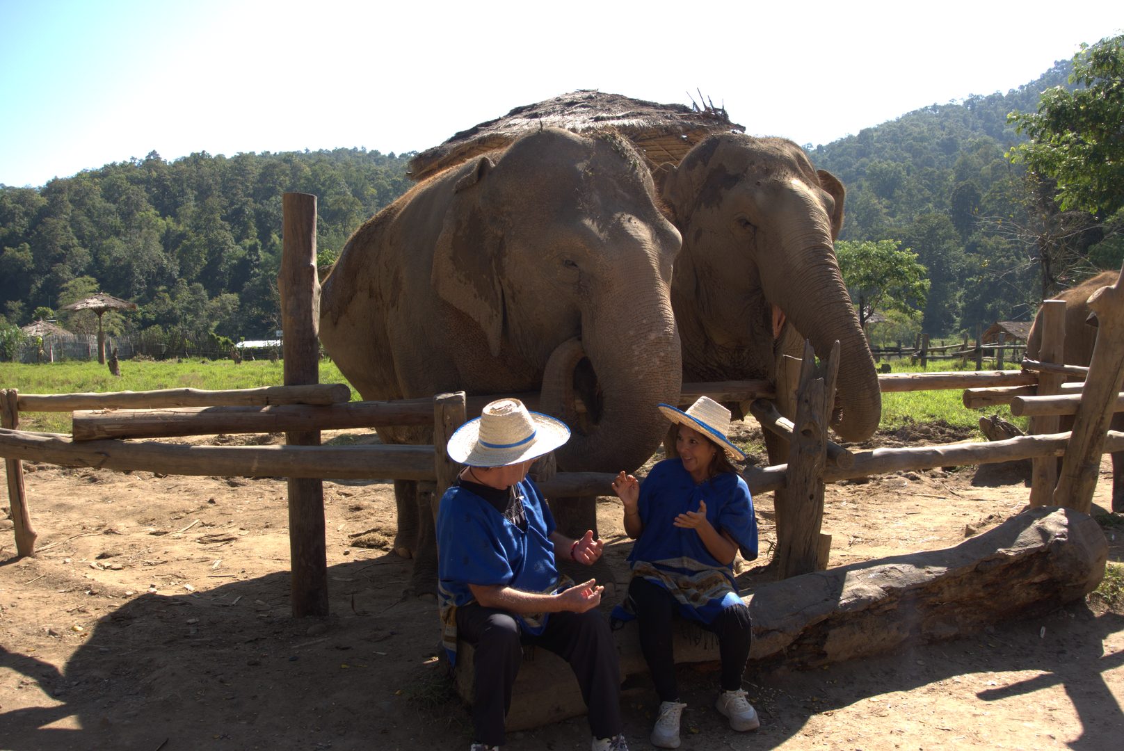 Visiting an ethical elephant sanctuary during a Chiang Mai tour