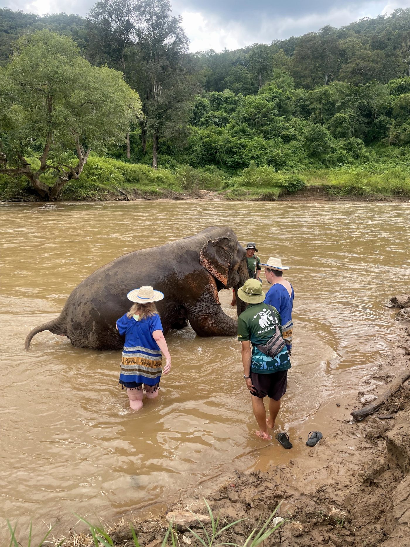 Close moment with an elephant at a Chiang Mai ethical sanctuary